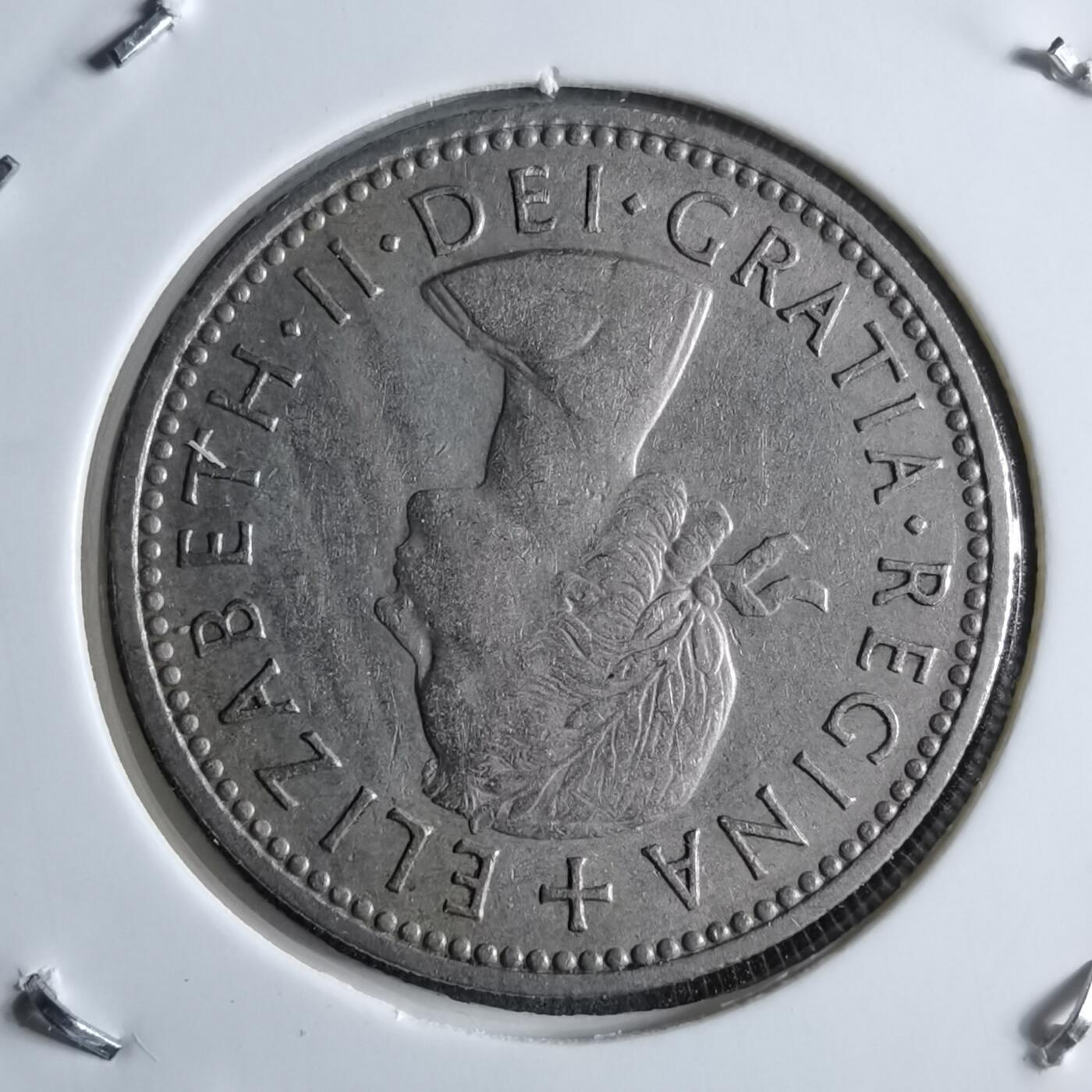 沼泽如烟--第891场