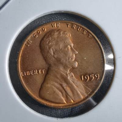 沼泽如烟--第891场 - 美国1959年一分