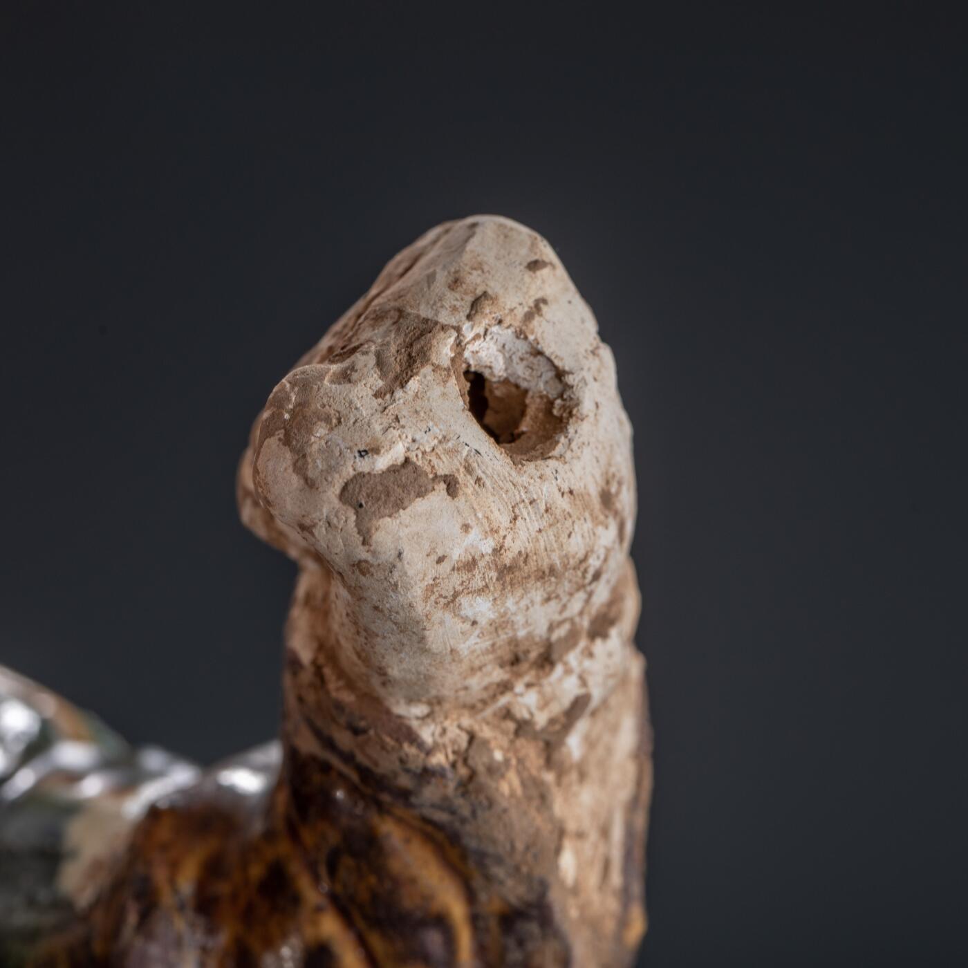 日本大阪雅和auction 2025金秋競賣會第一期