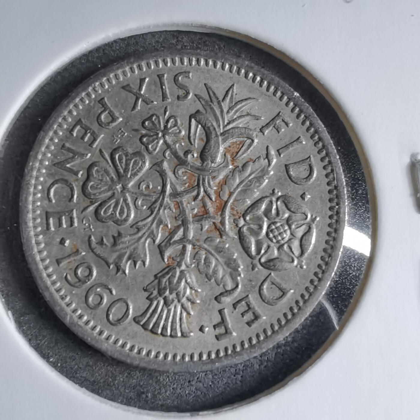 沼泽如烟--第890场