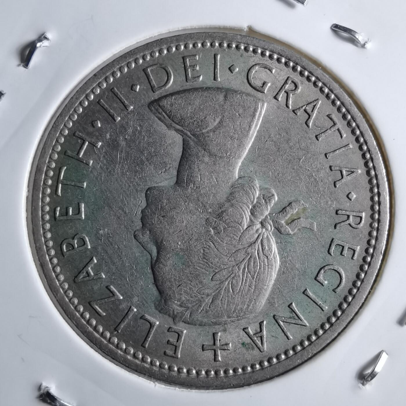 沼泽如烟--第891场