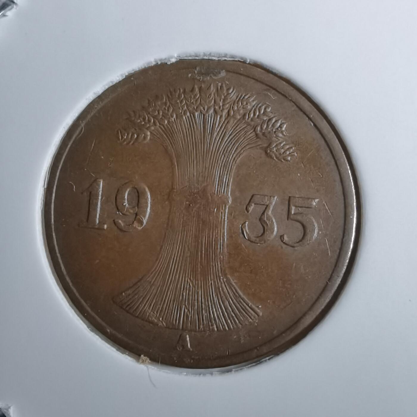 沼泽如烟--第891场