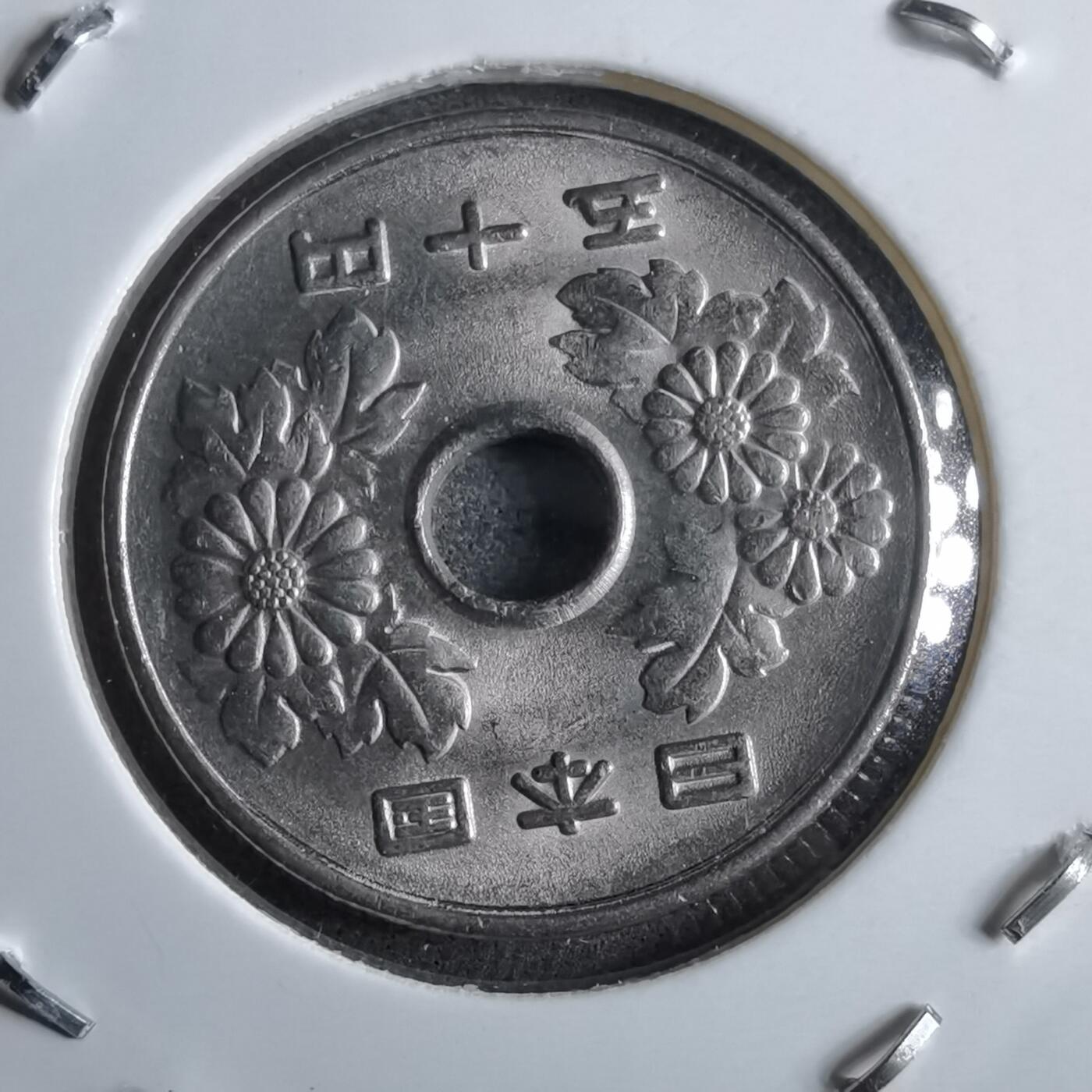 沼泽如烟--第891场