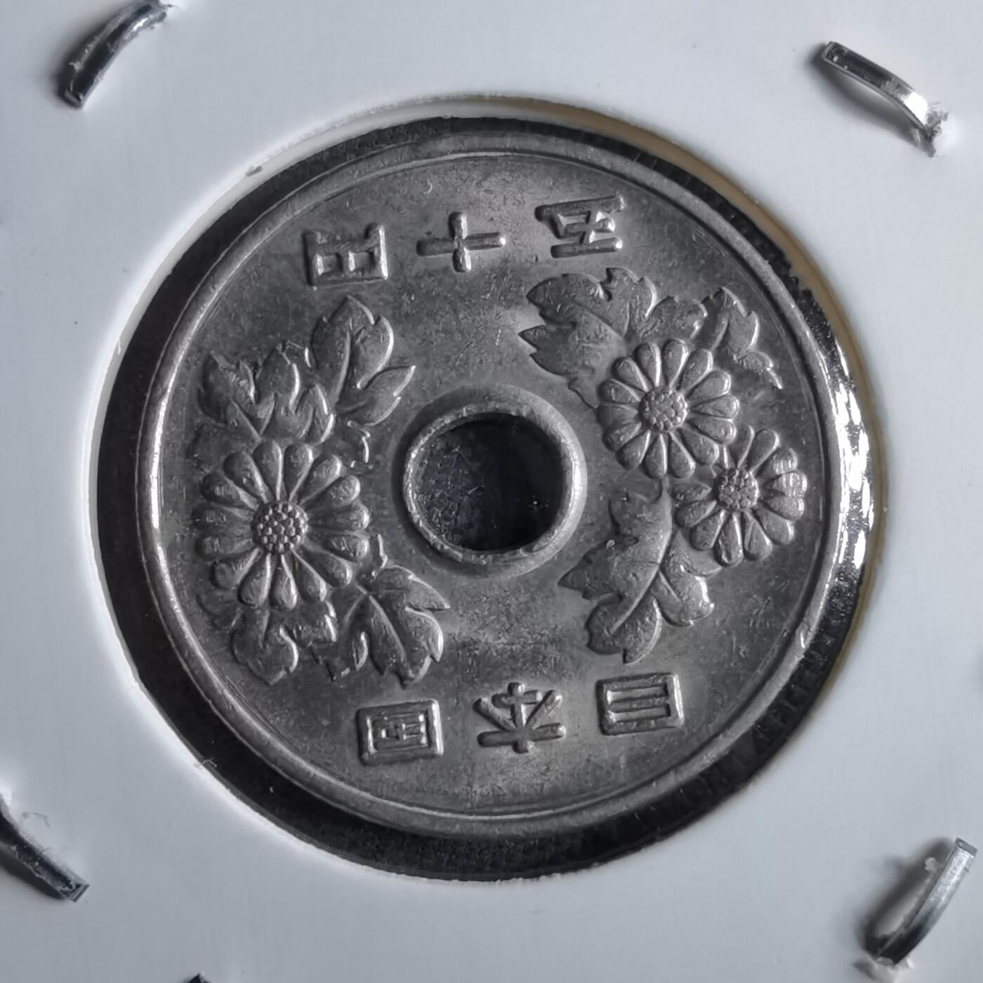 沼泽如烟--第891场