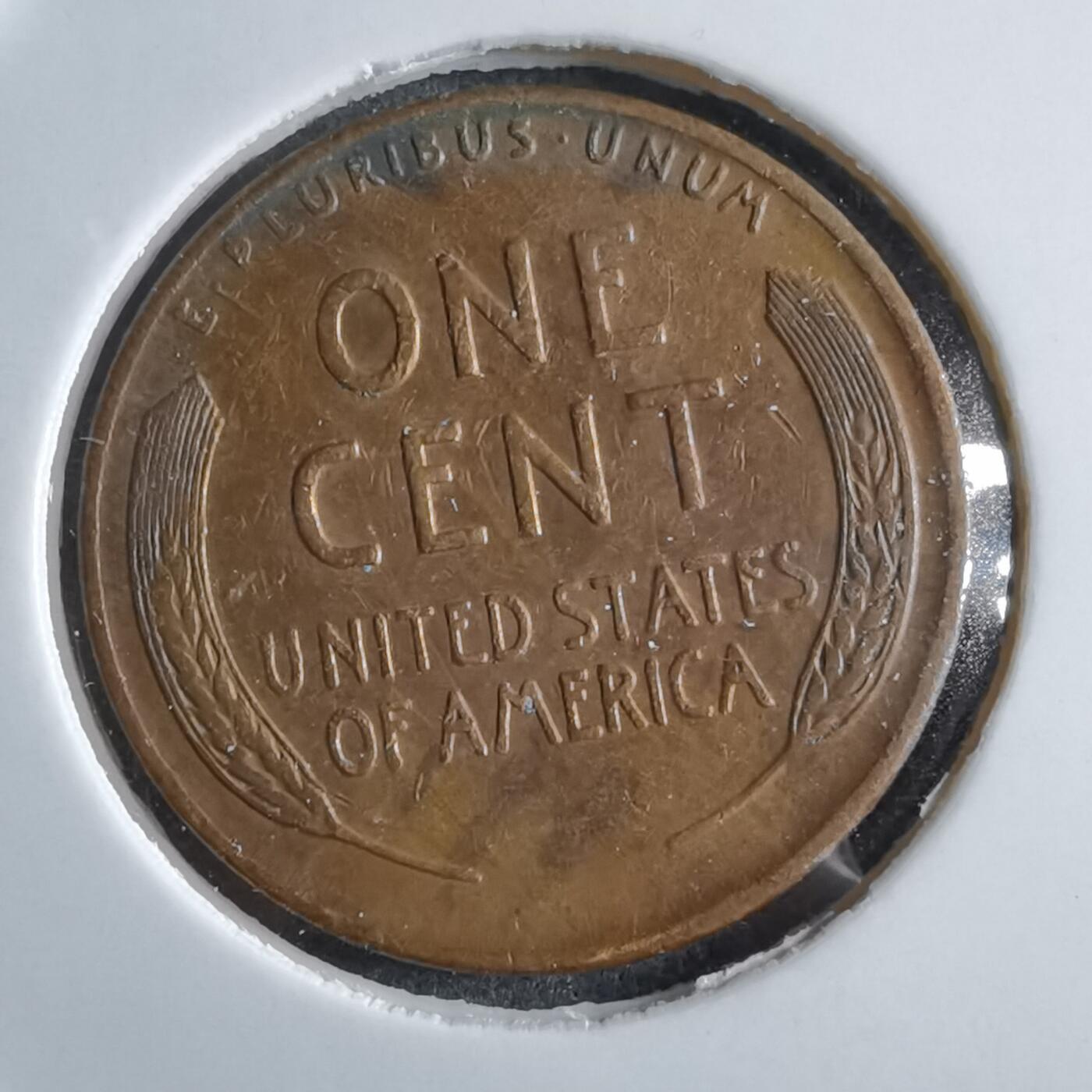 沼泽如烟--第891场