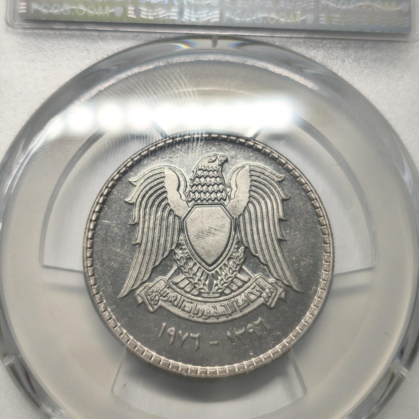 老蟹的宝藏🏴‍☠️ III