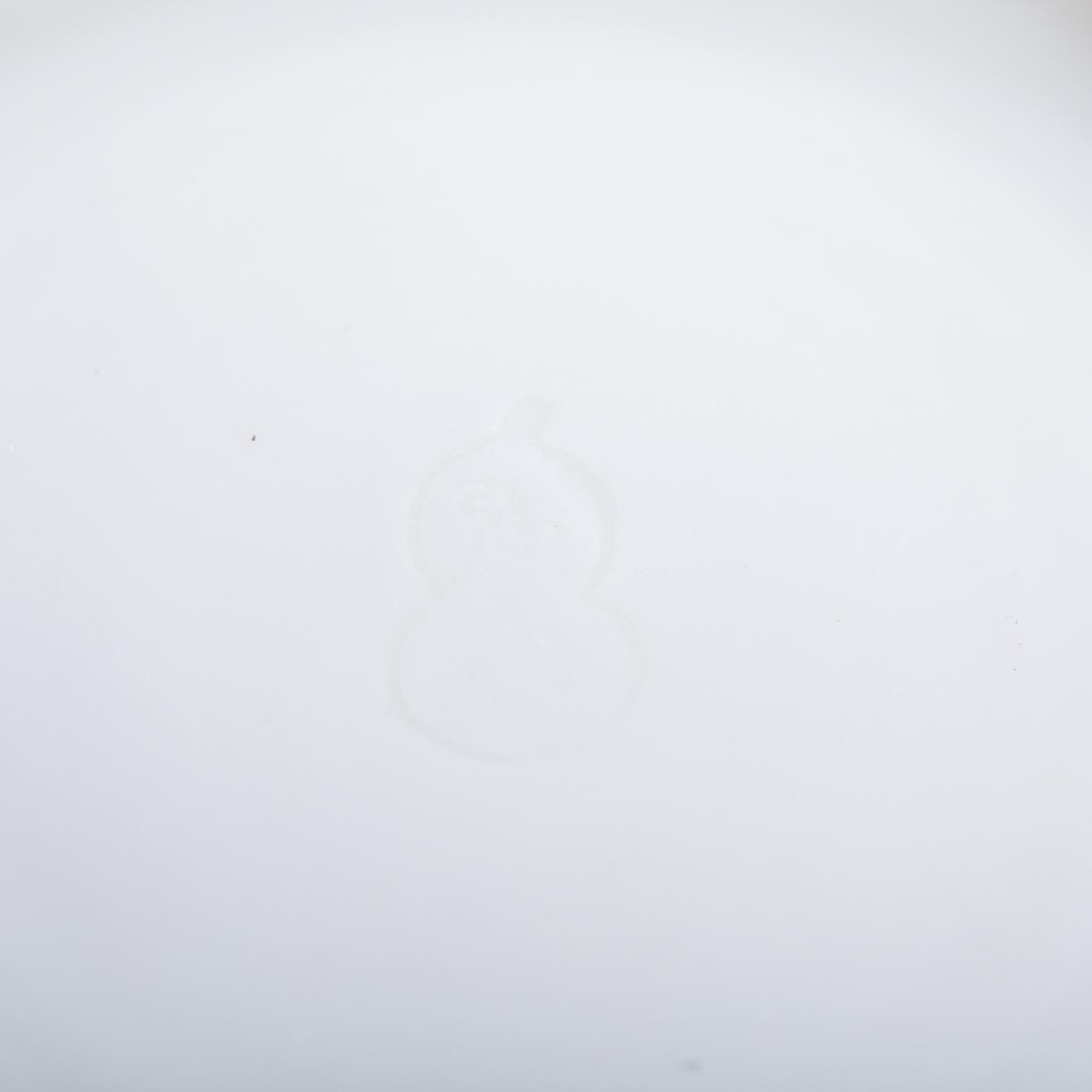 日本大阪雅和auction 2025金秋競賣會第一期 德化窯雙耳香爐 尺寸:W:12 H:5cm 備註:木箱