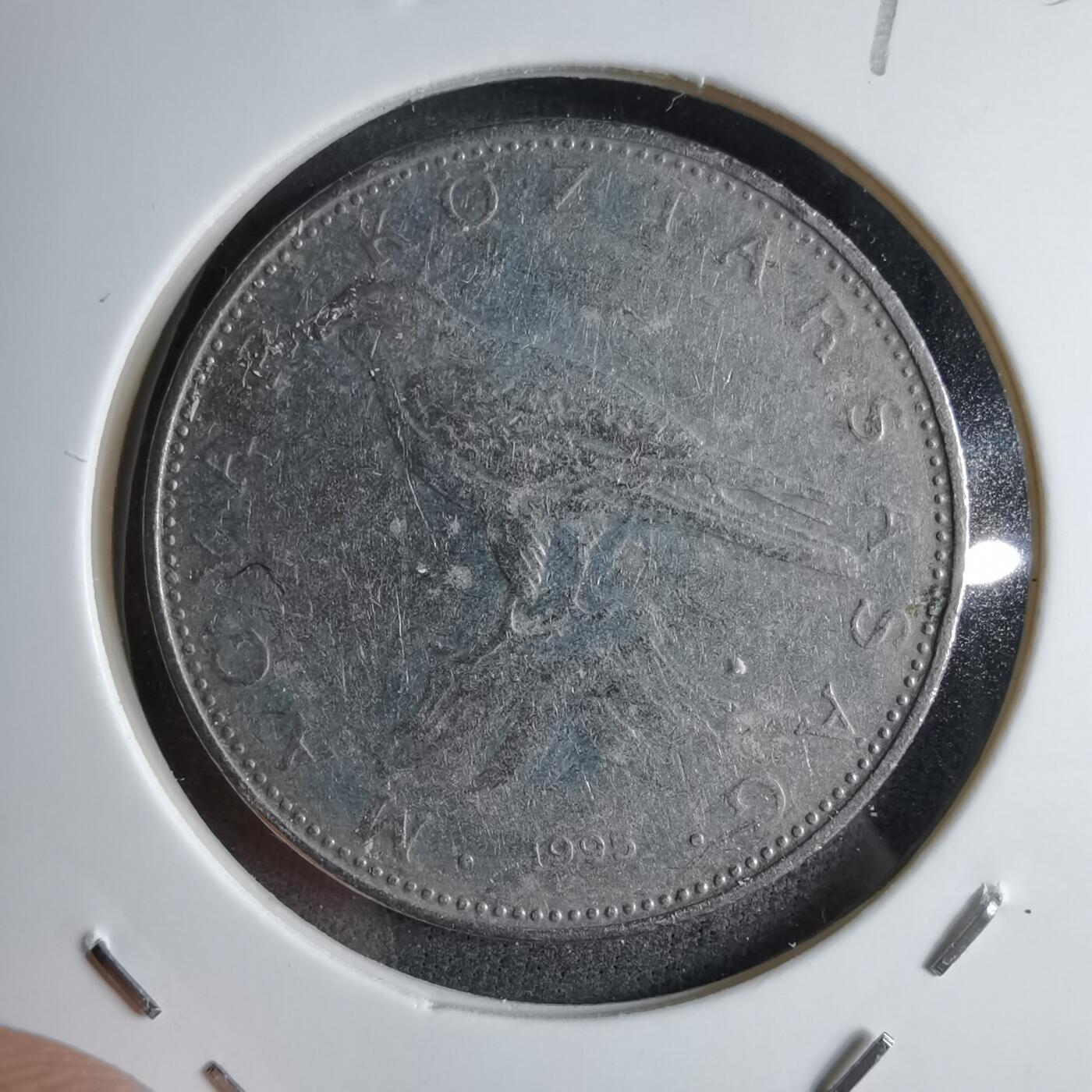 沼泽如烟--第890场