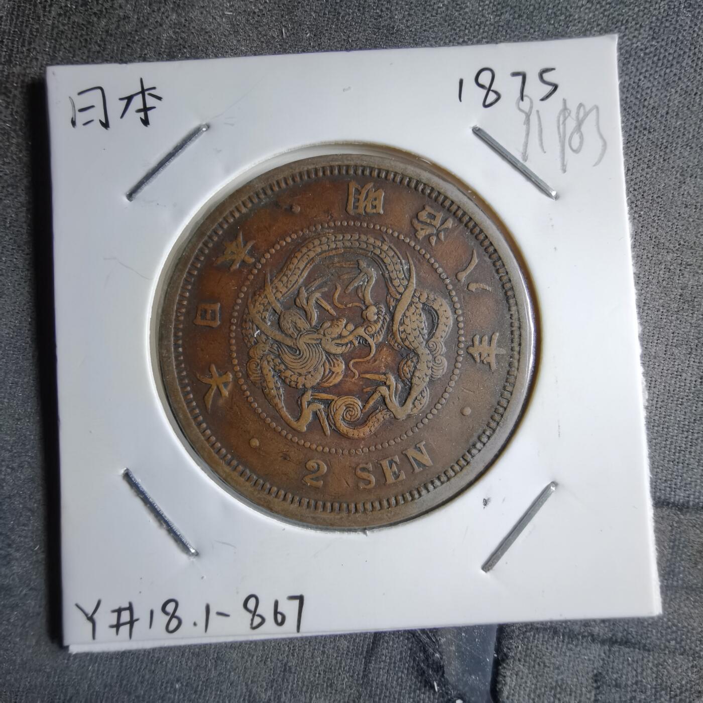 沼泽如烟--第891场