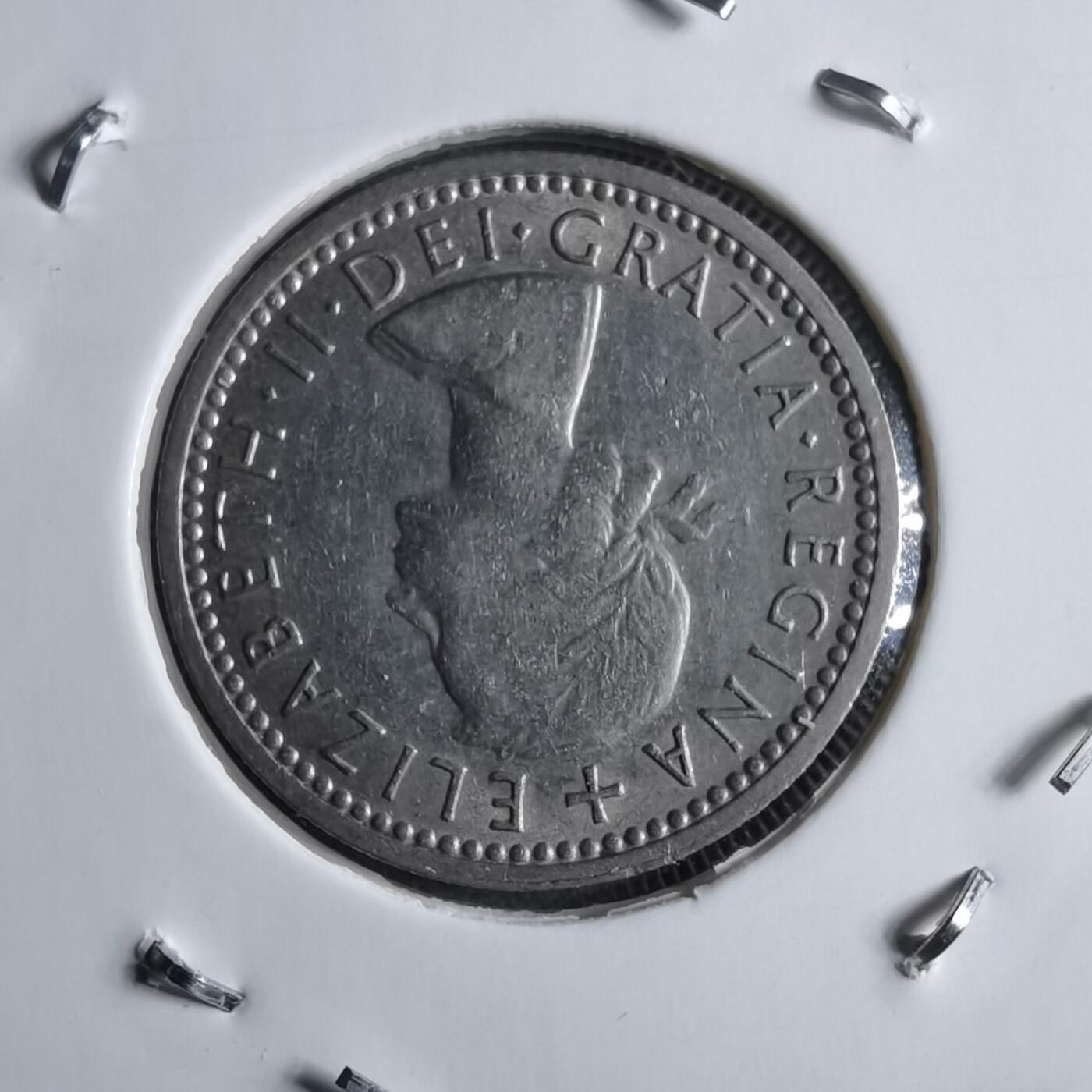 沼泽如烟--第891场