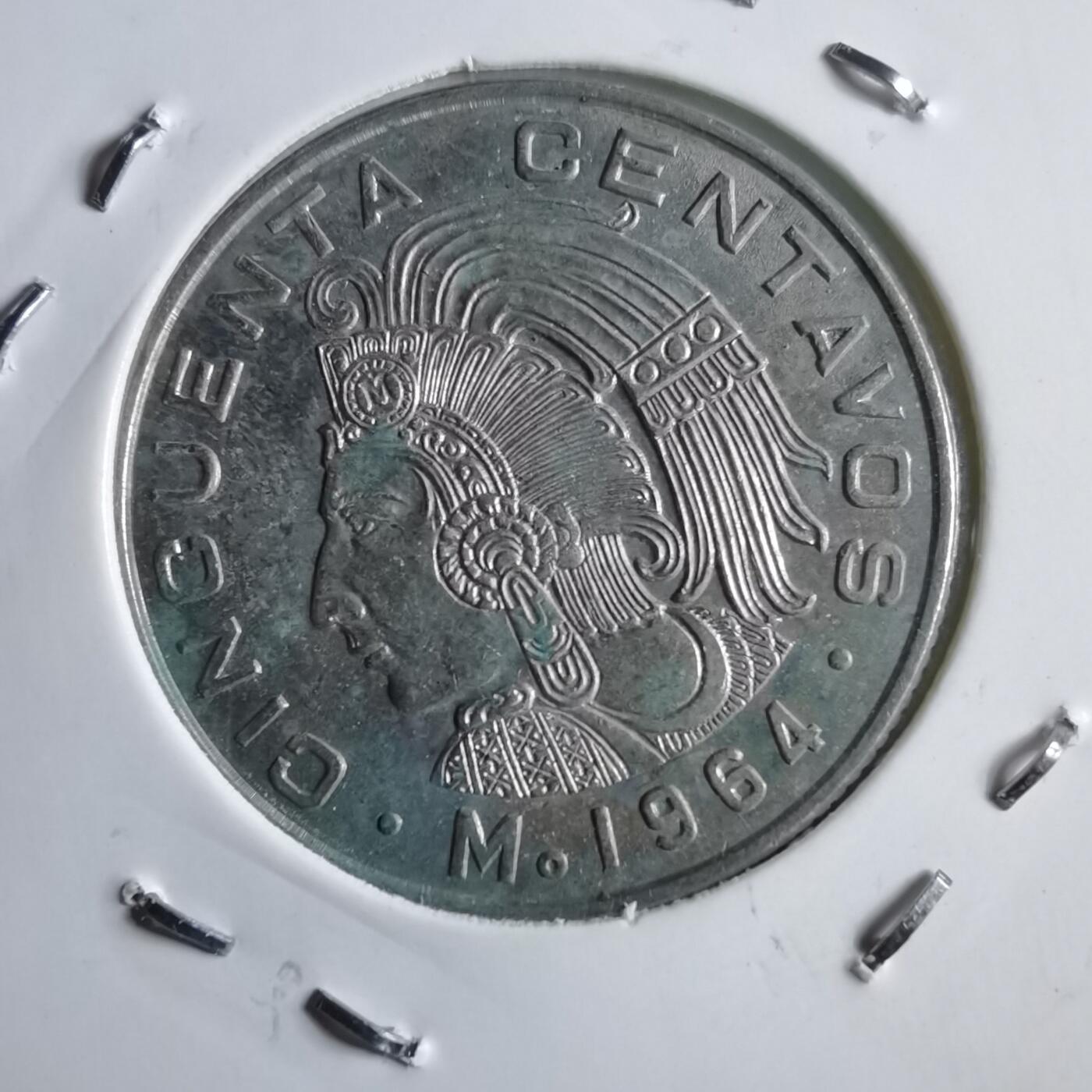 沼泽如烟--第891场