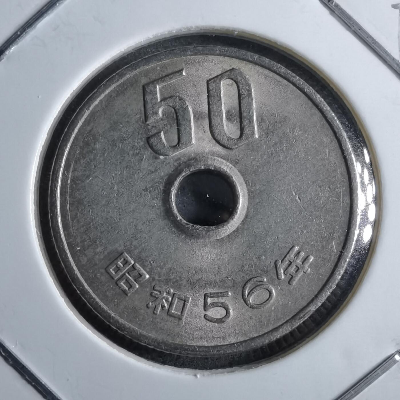 沼泽如烟--第891场