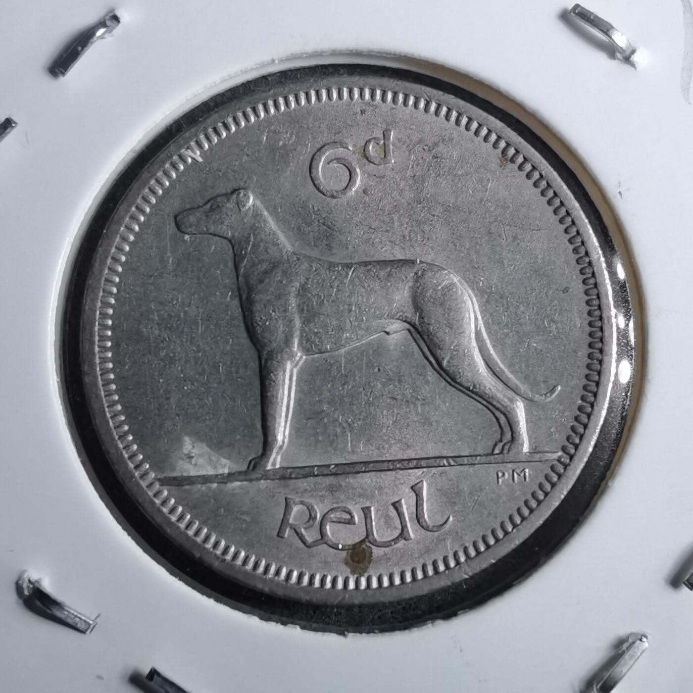 沼泽如烟--第891场