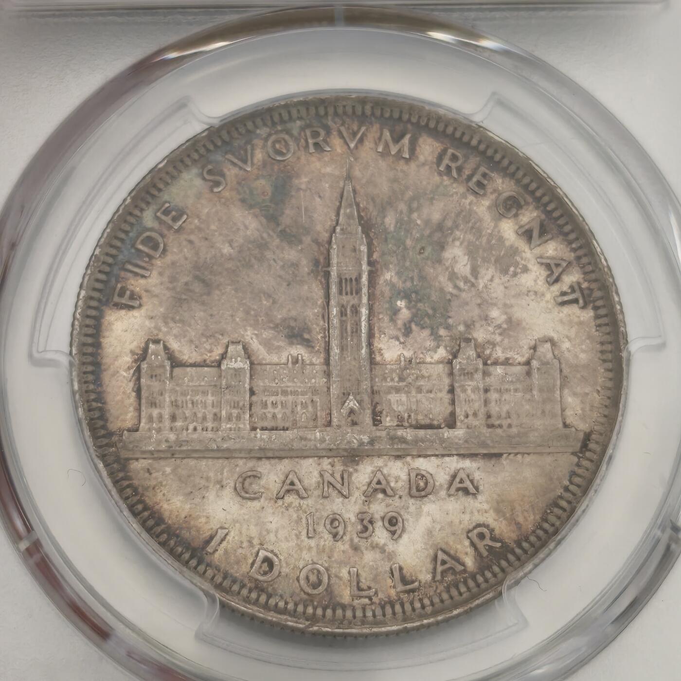 老蟹的宝藏🏴‍☠️ III