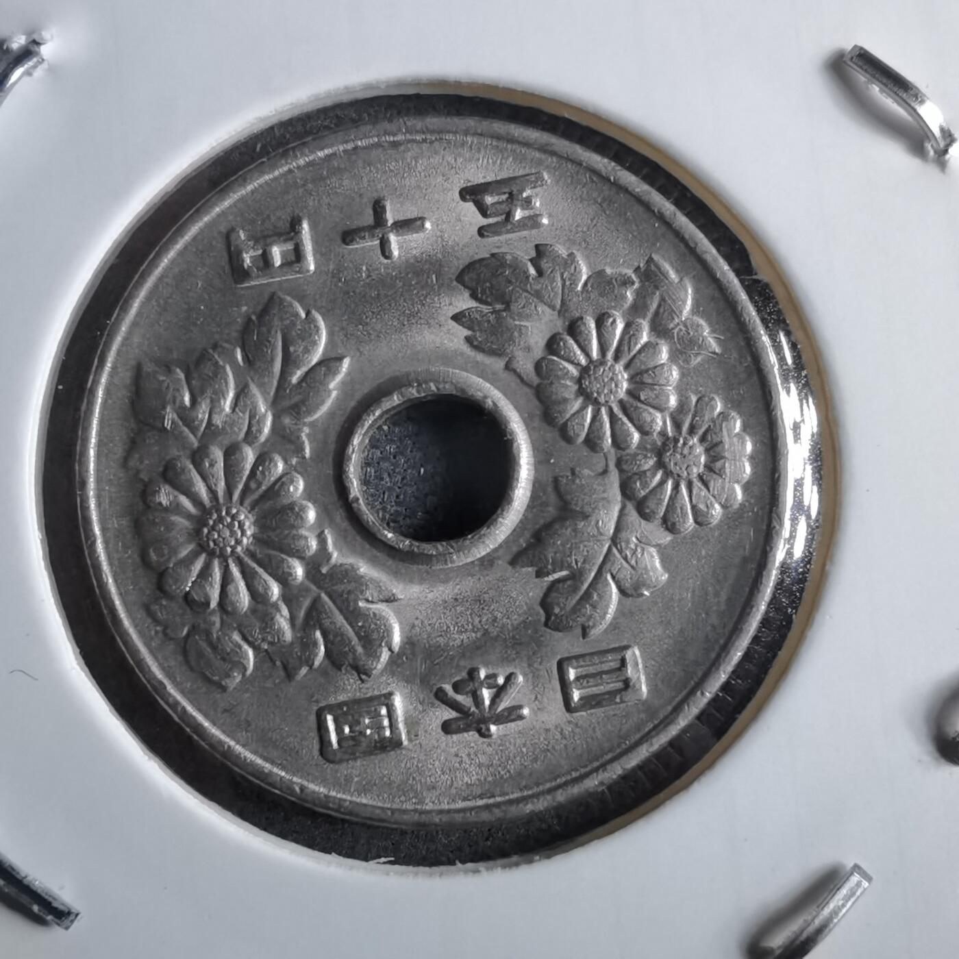 沼泽如烟--第891场