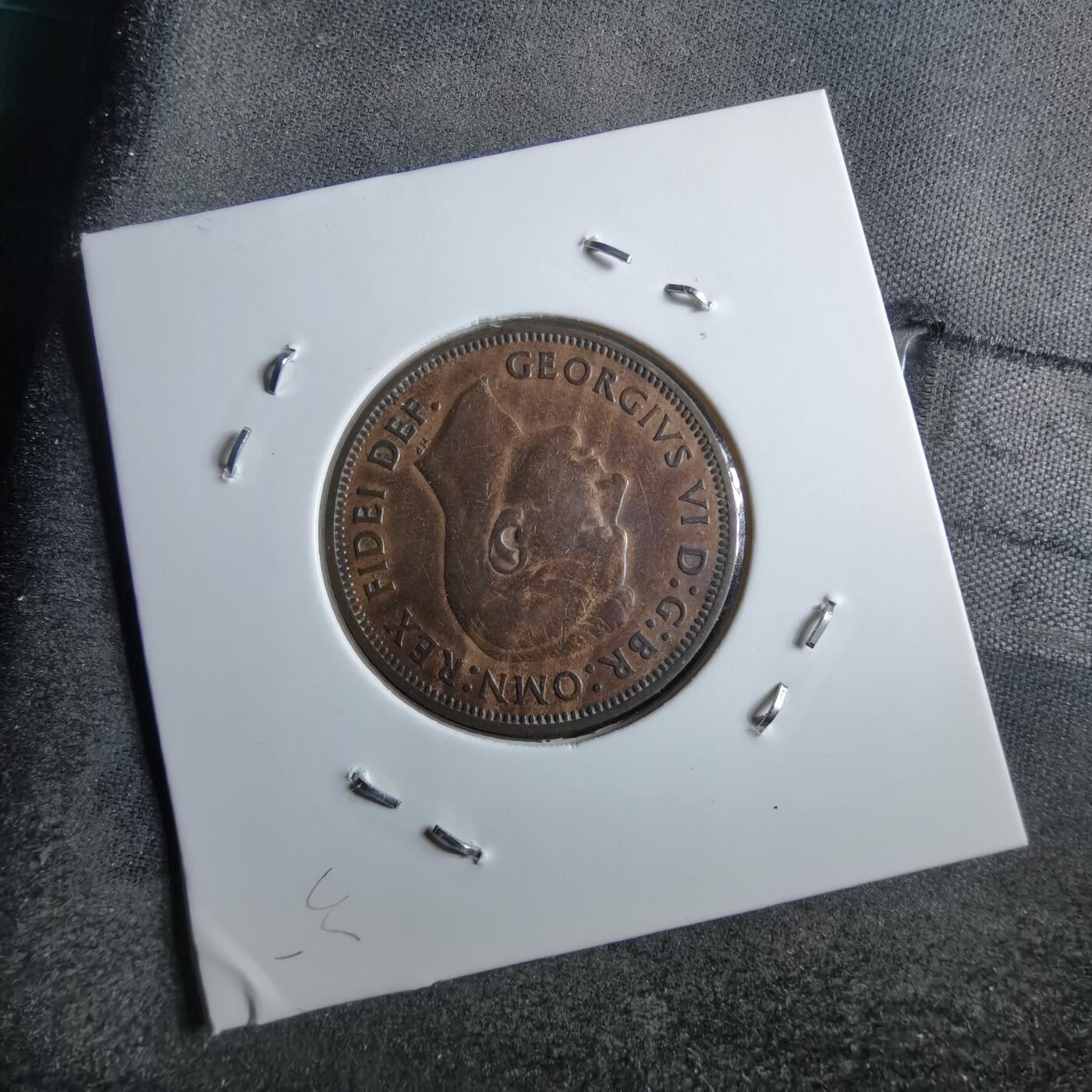 沼泽如烟--第891场