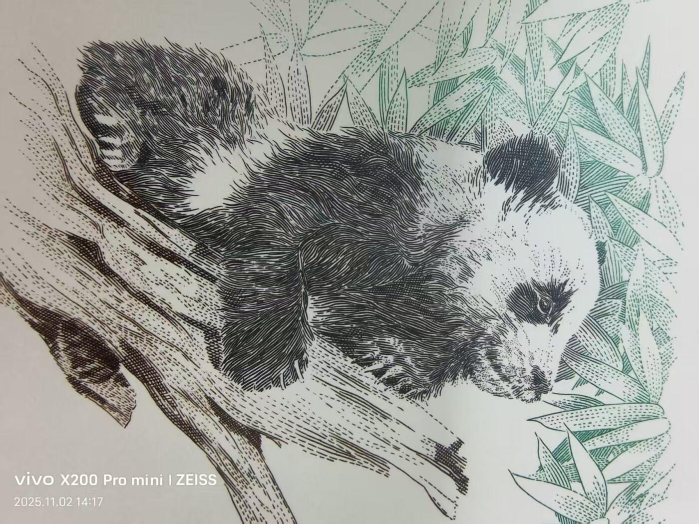 熊猫雕刻版信封一对