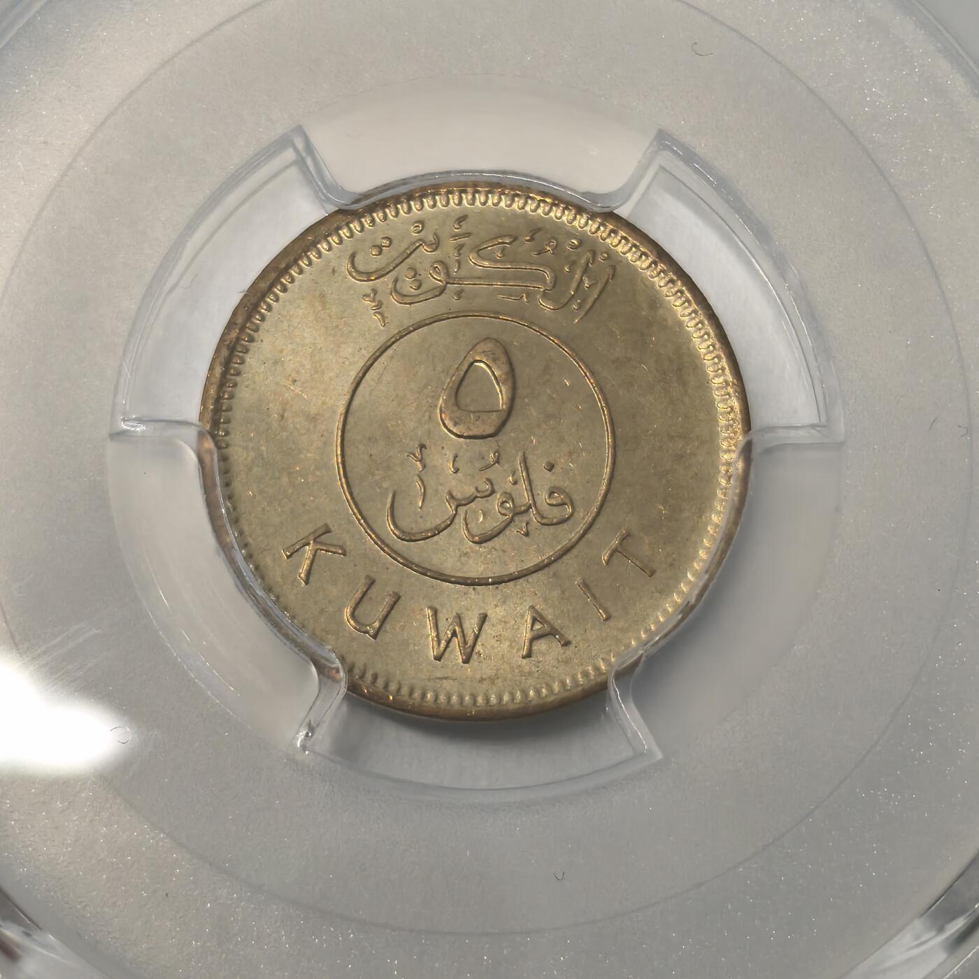 老蟹的宝藏🏴‍☠️ III