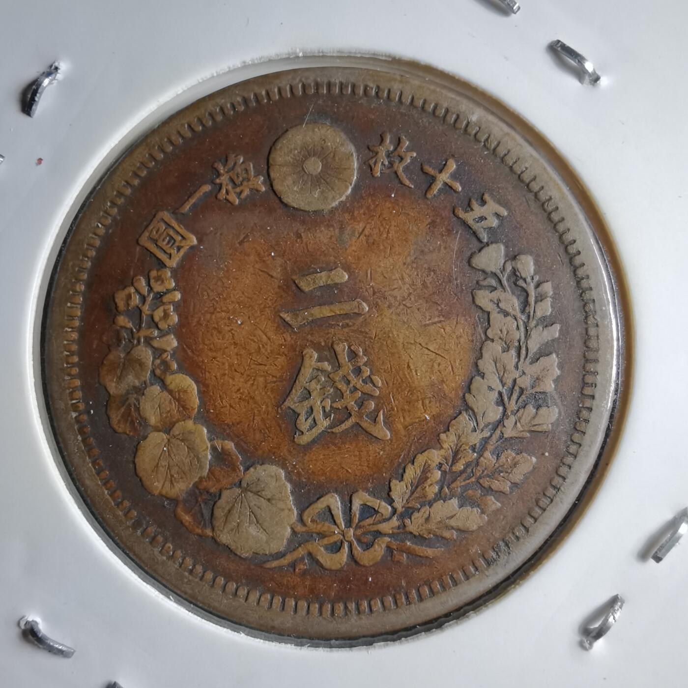 沼泽如烟--第891场