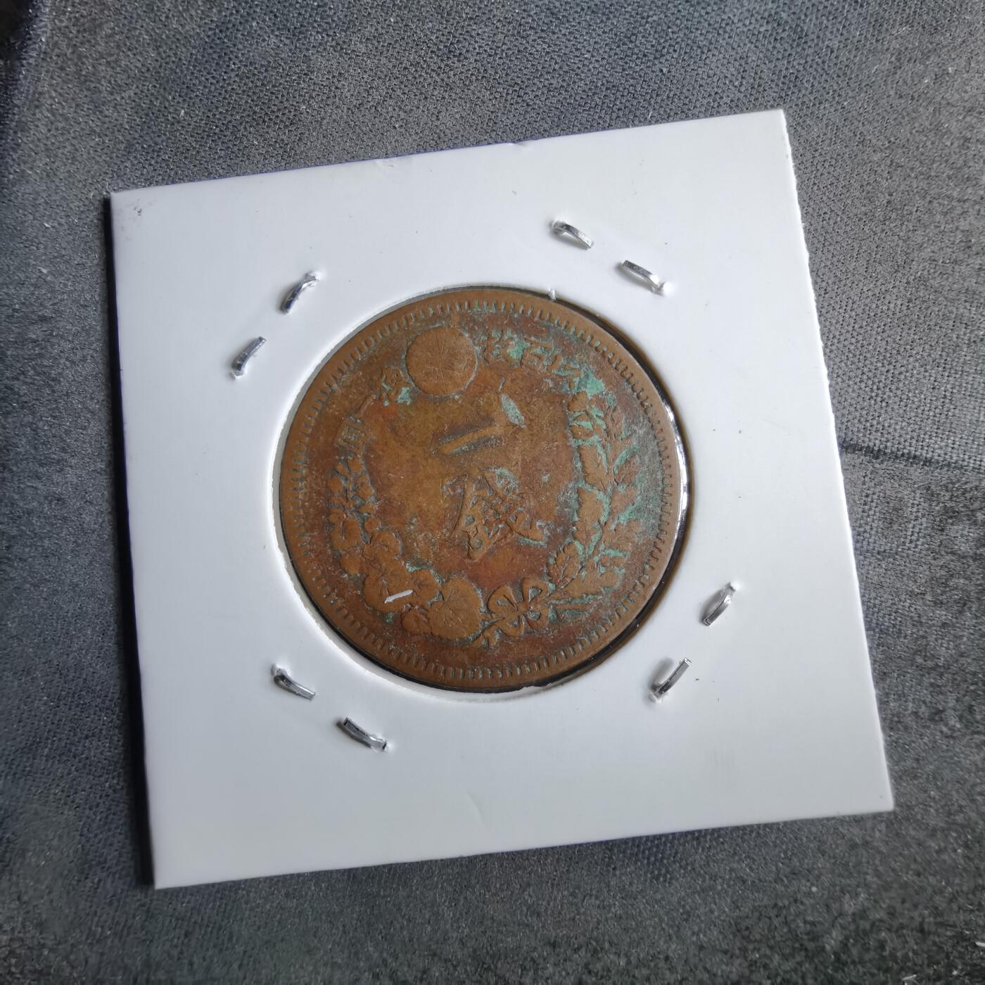 沼泽如烟--第891场