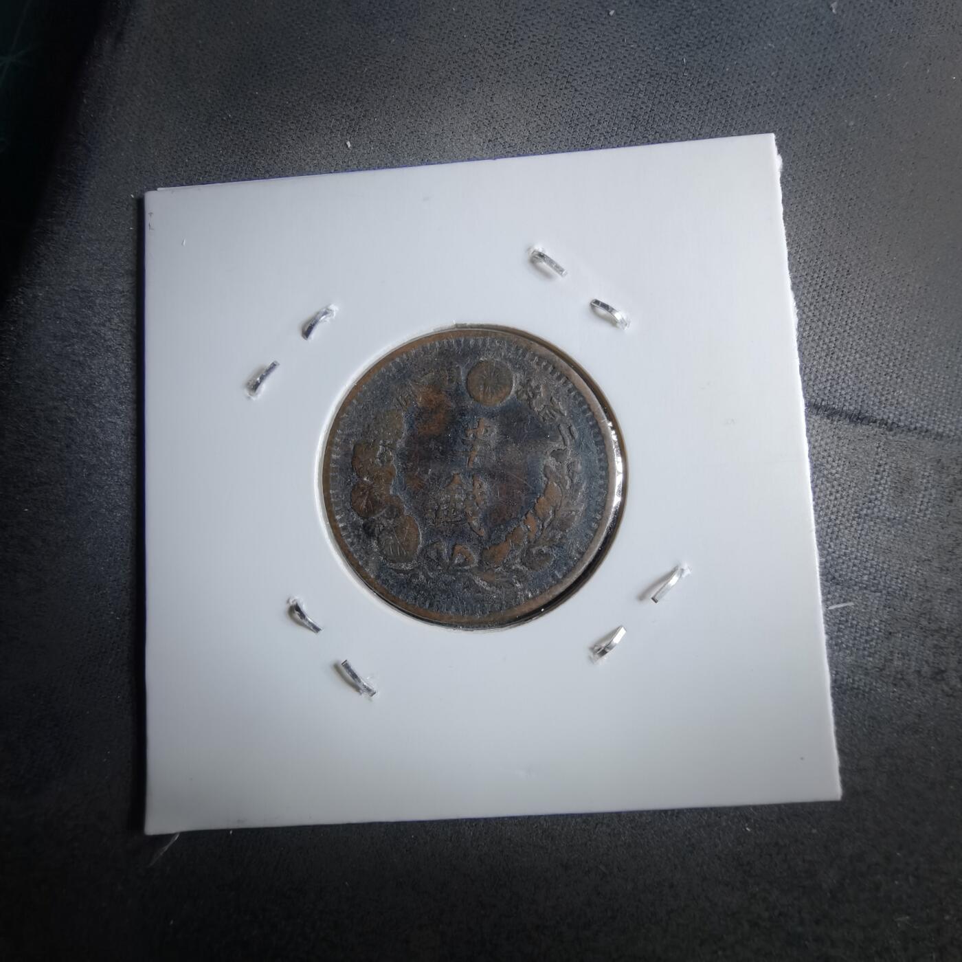 沼泽如烟--第891场