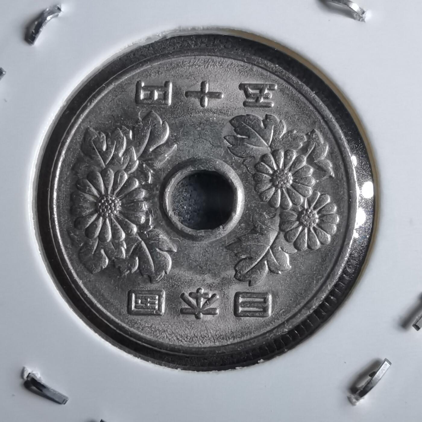 沼泽如烟--第891场