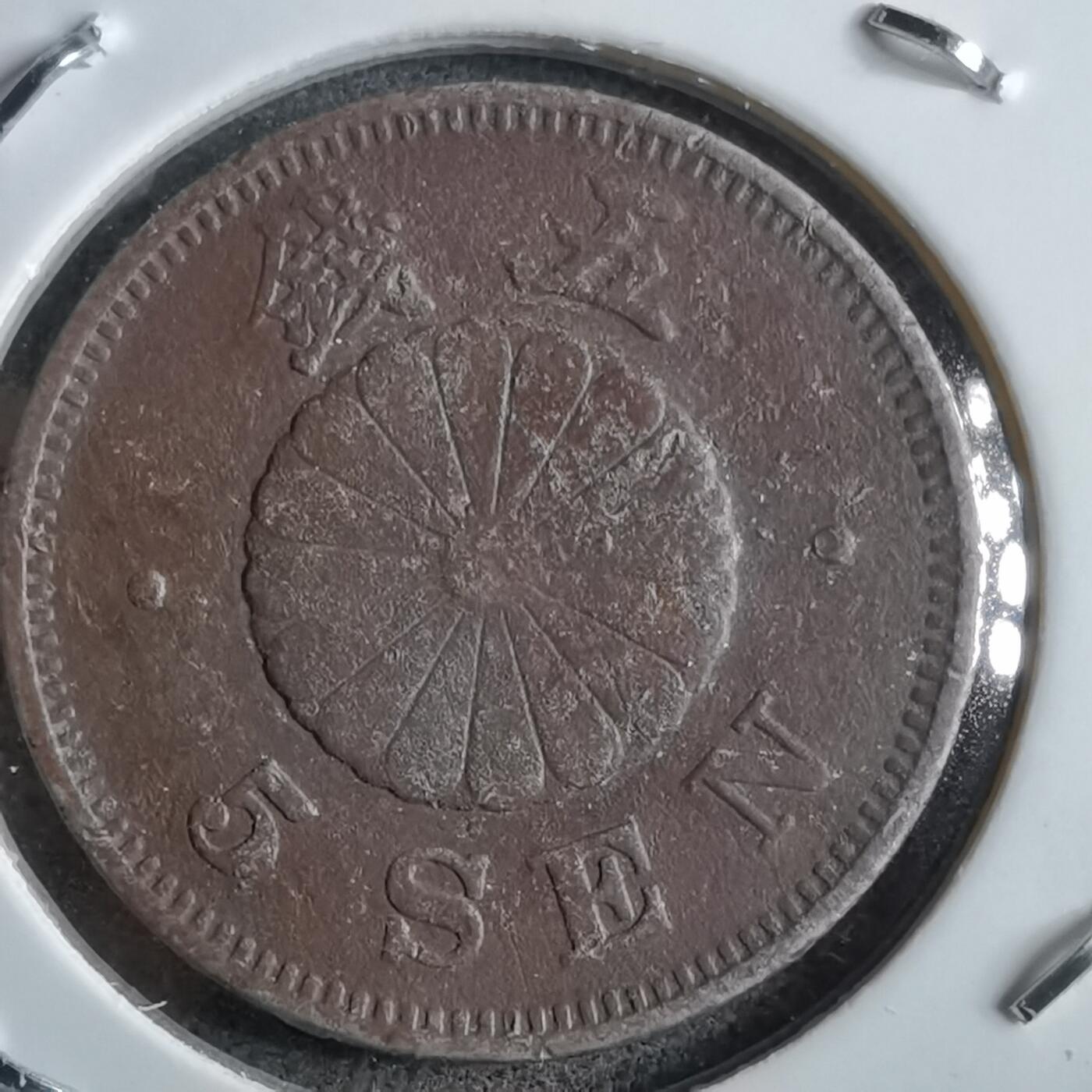 沼泽如烟--第891场