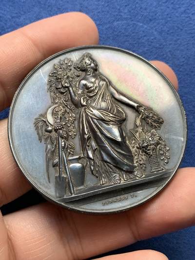 《竞宝斋》第435场 周日，周一2场连拍 （全场包邮） - 法国园艺协会银章 65.3克 50.5mm 丰饶角银标 带盒 白加黑包浆 很好 大直径少见