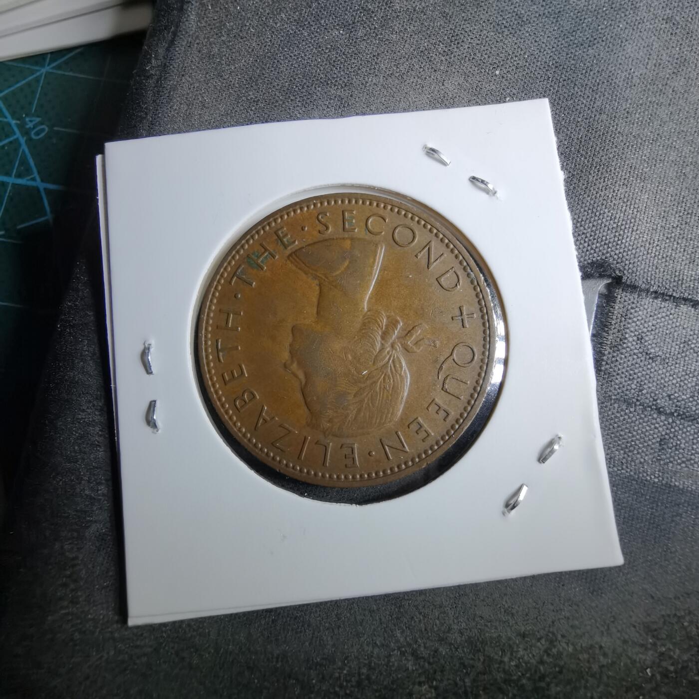 沼泽如烟--第891场