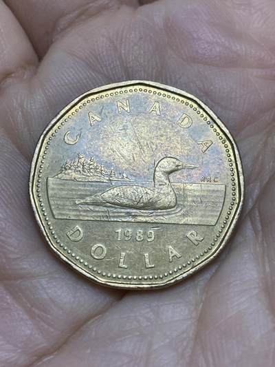 2025年第一百二十二场(总第一百四十八场）外国好品散币(免佣金) - 加拿大🇨🇦1989年1元(伊丽莎白二世中年花冠，低浮雕版)