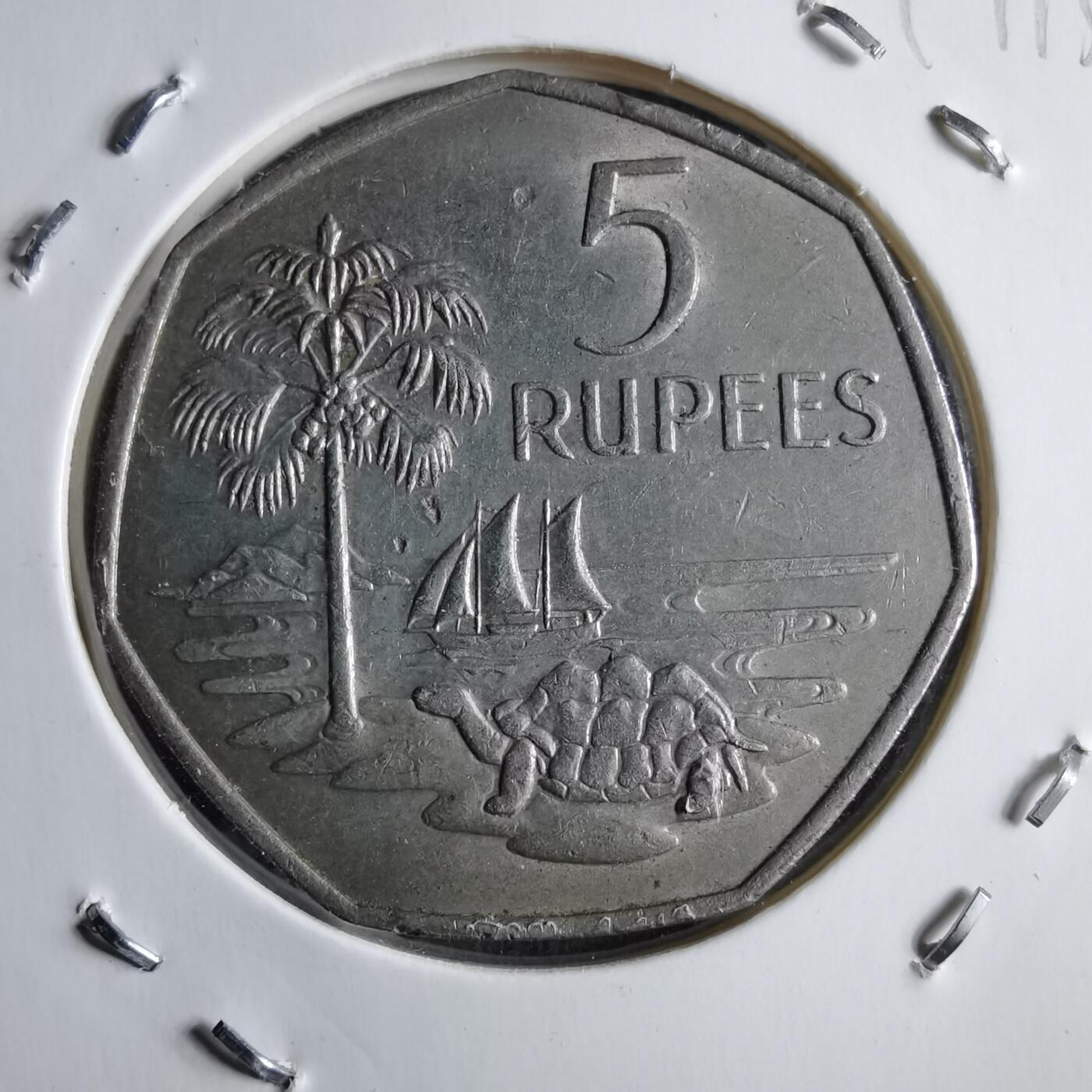 沼泽如烟--第891场