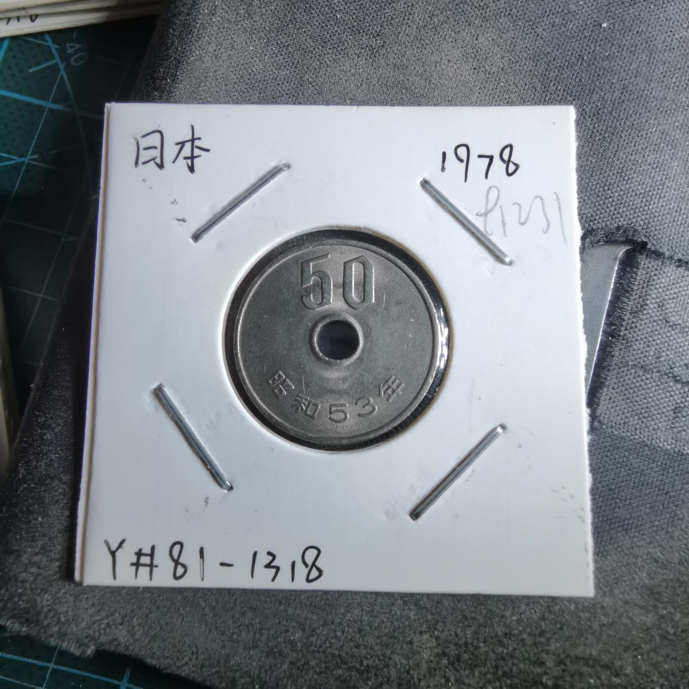 沼泽如烟--第891场