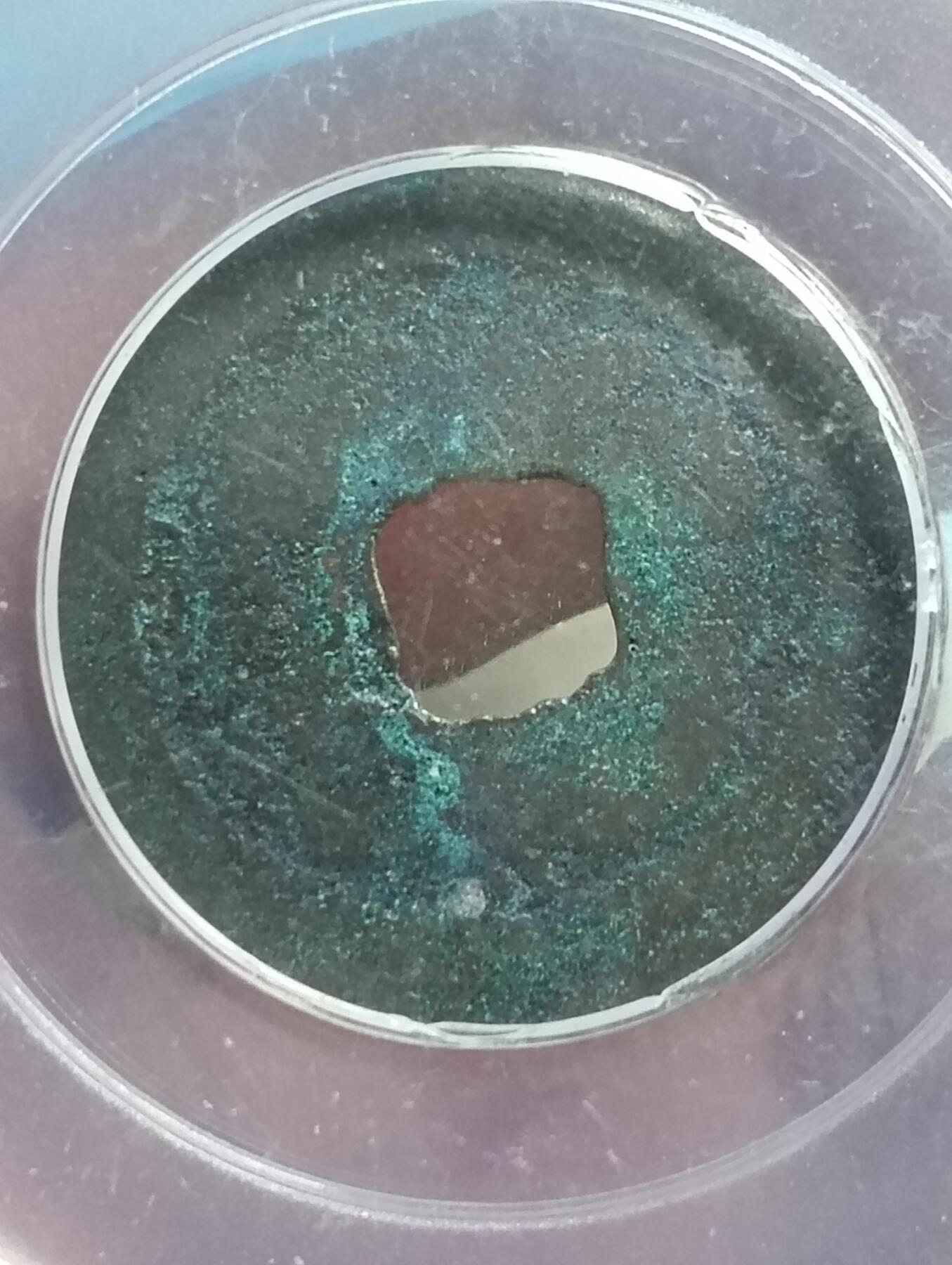 鸿运银币铜币艺术品专场5