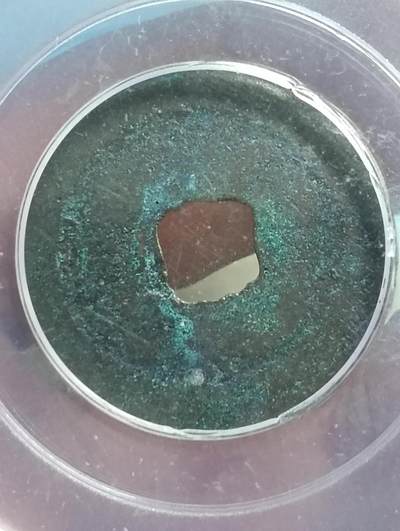 鸿运银币铜币艺术品专场5 熙宁通宝真书大字寄郭极美85