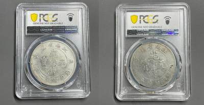 日本大阪雅和auction 2025金秋競賣會第一期 - PCGS鑒定江南省庚子 小龍版，大龍版 共2點 保真，/返品不可