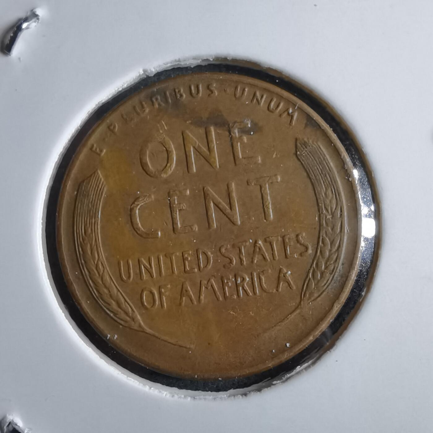 沼泽如烟--第891场