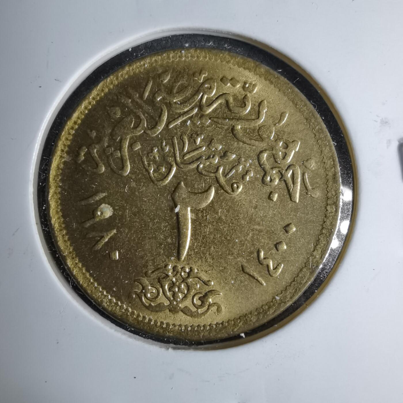 沼泽如烟--第890场 埃及