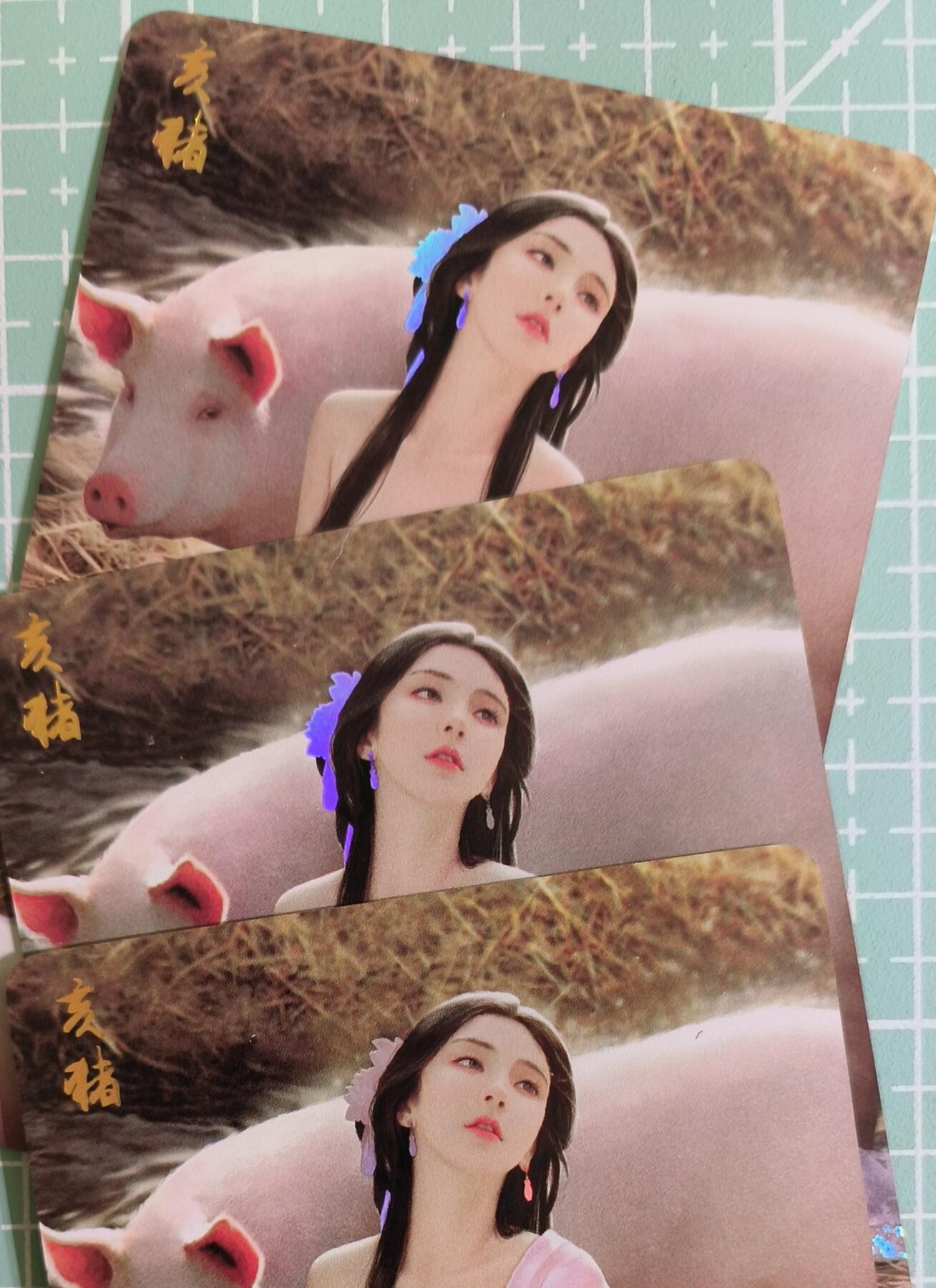 C先生卡牌 第15期 元集纪·刷子签·罐儿签·毒瘤签(持续收拍品中...) 【彩闪】燎原《十二生肖》亥猪 三渐变