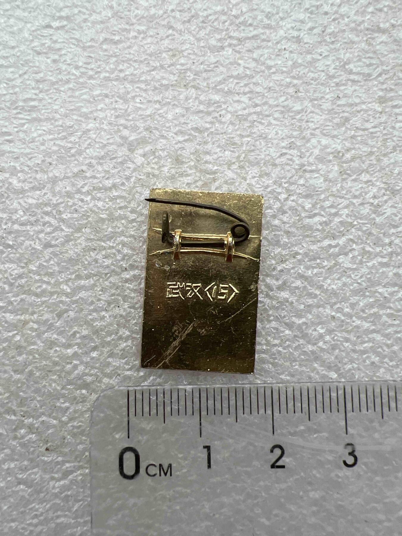 真品毛主席像章纪念章 真品毛主席像章