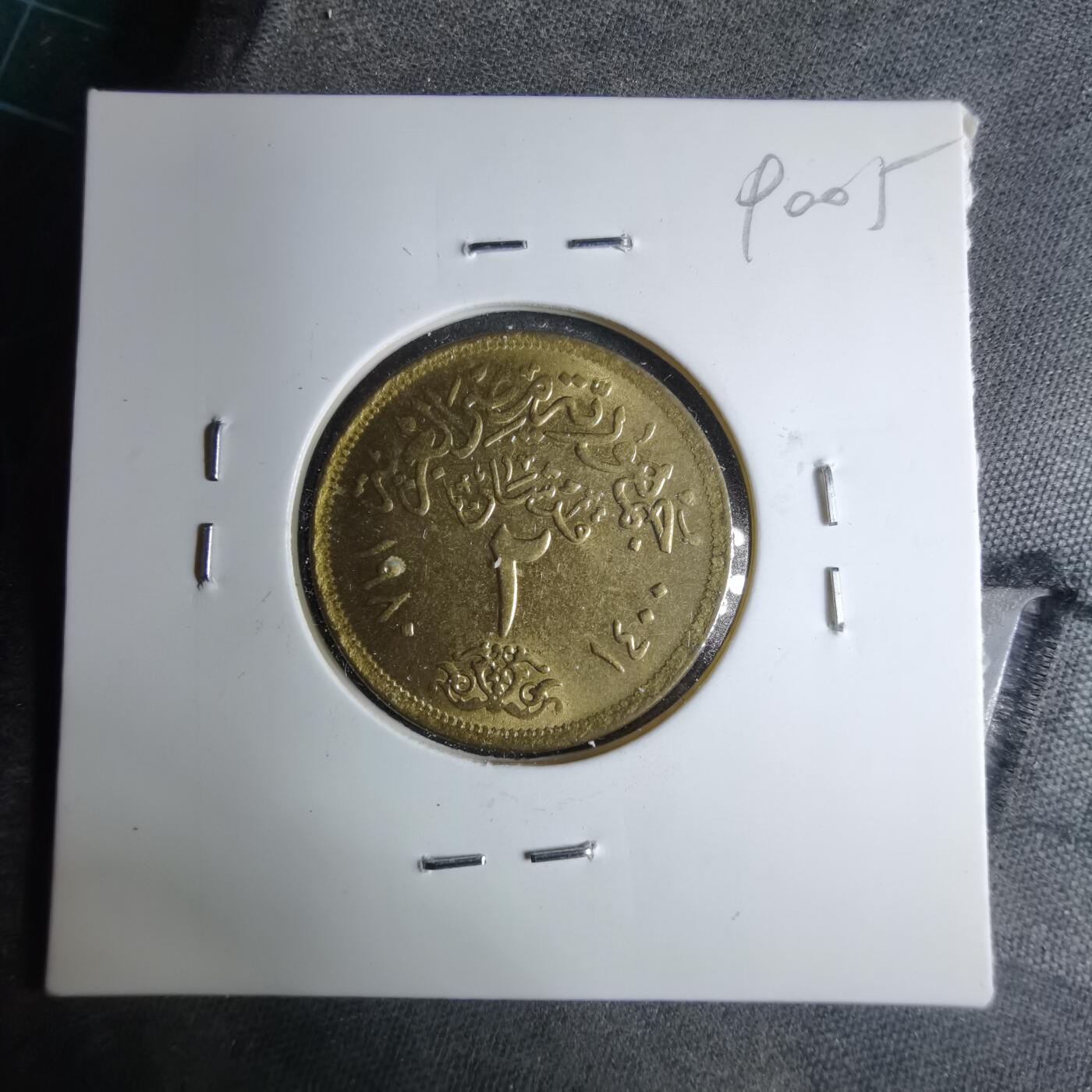 沼泽如烟--第890场 埃及