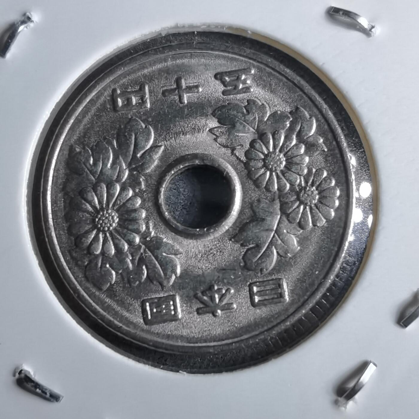 沼泽如烟--第891场