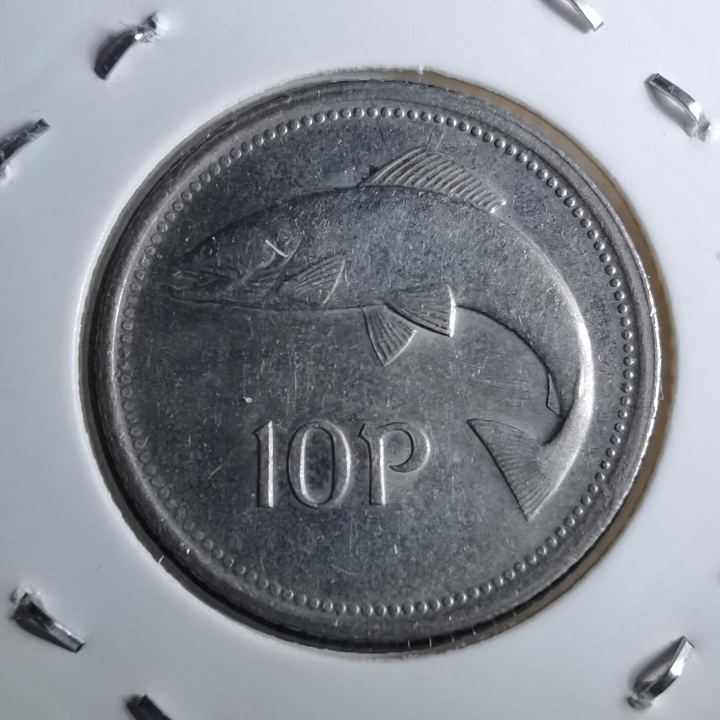 沼泽如烟--第891场