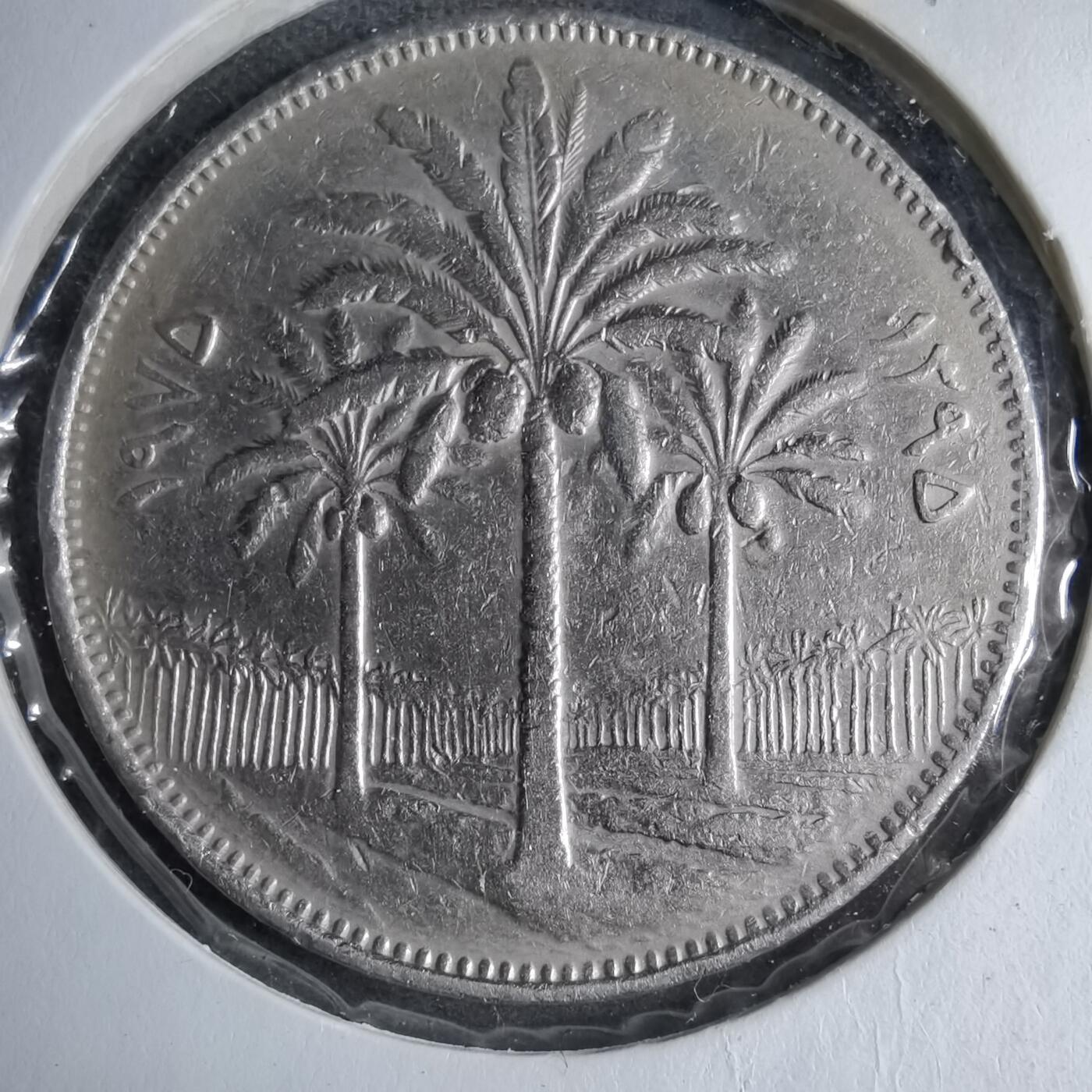 沼泽如烟--第890场 伊拉克