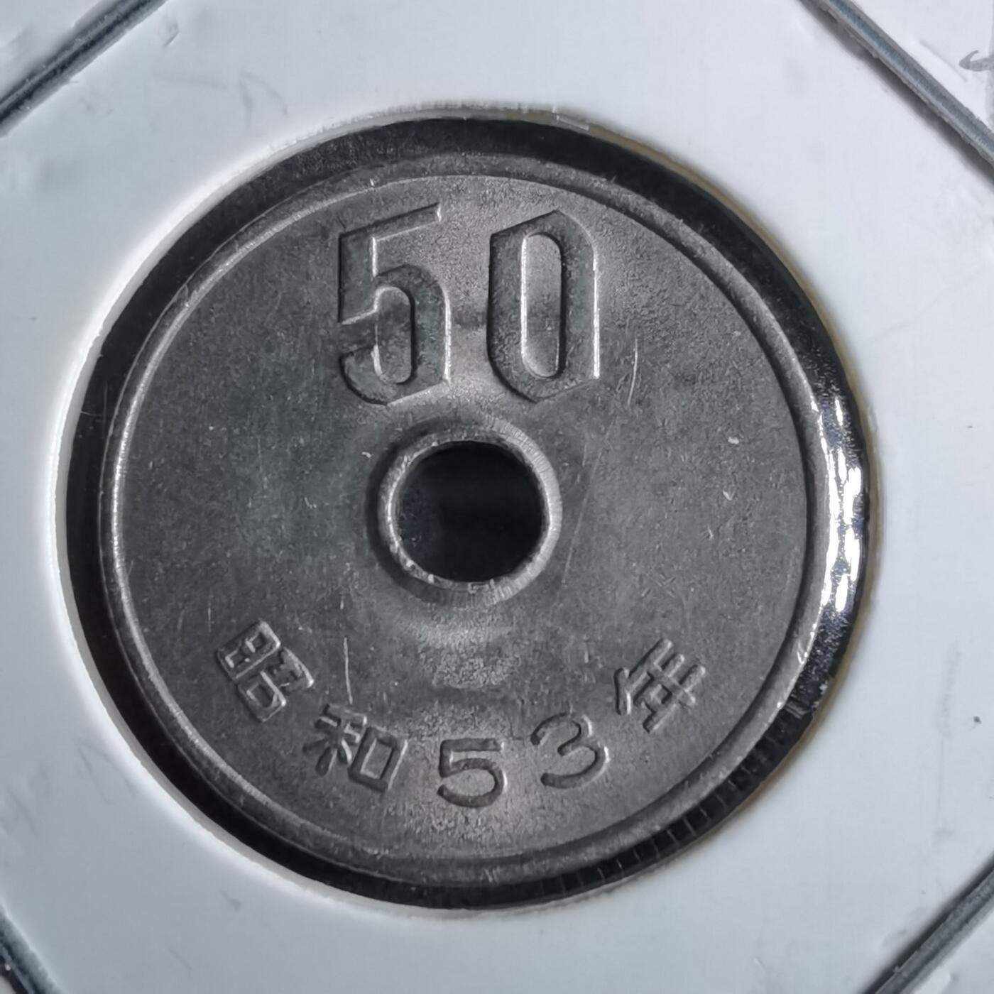 沼泽如烟--第891场