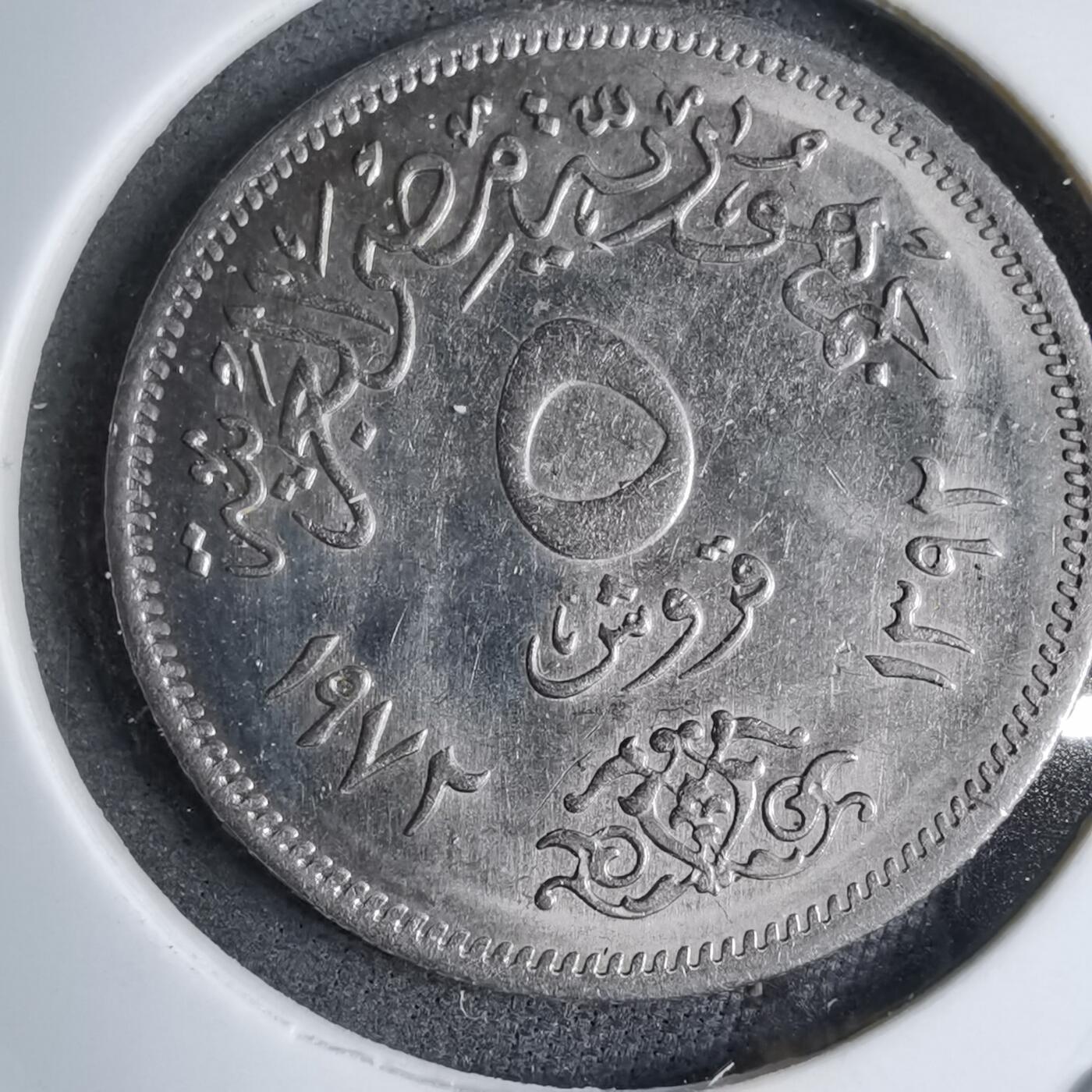 沼泽如烟--第890场 埃及