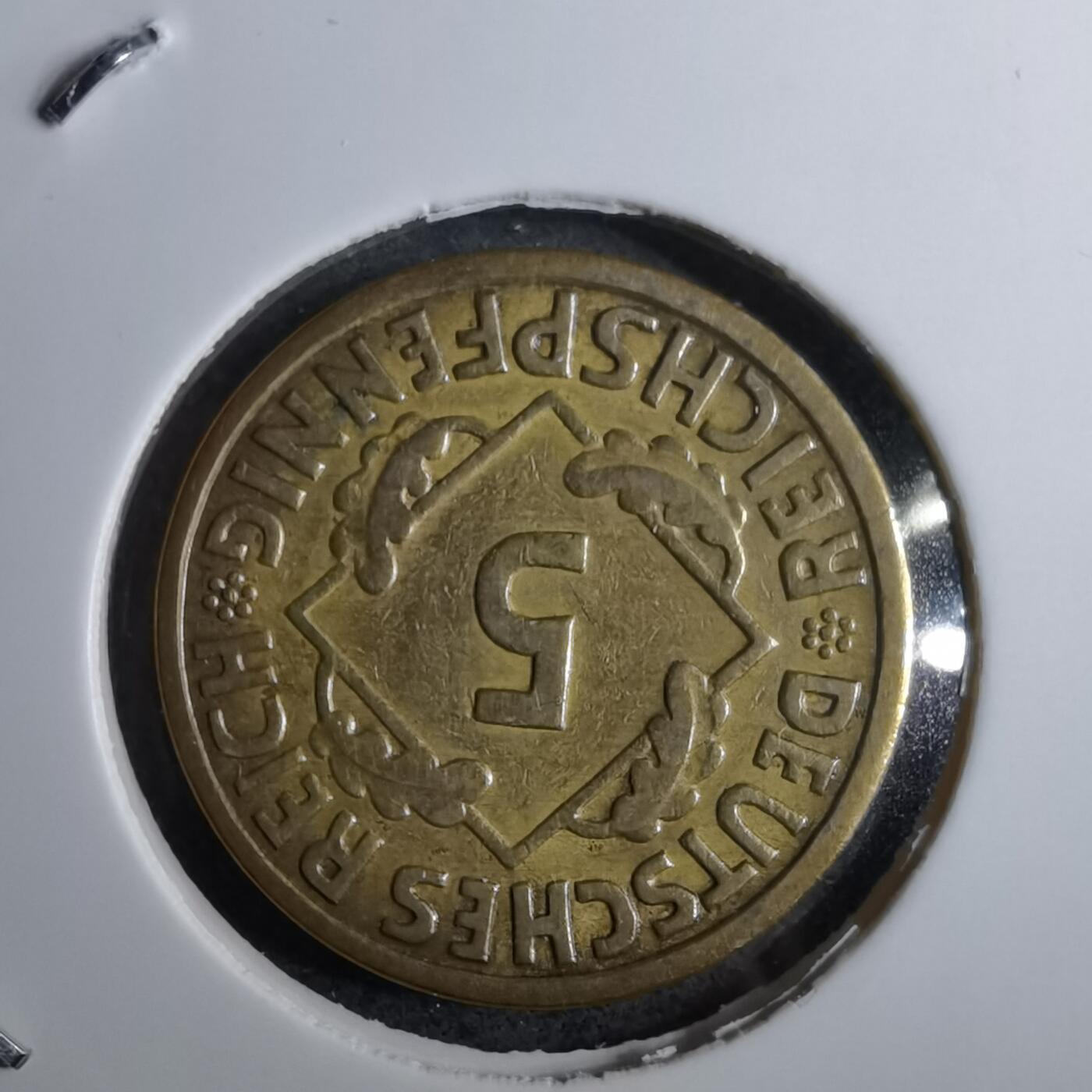 沼泽如烟--第891场