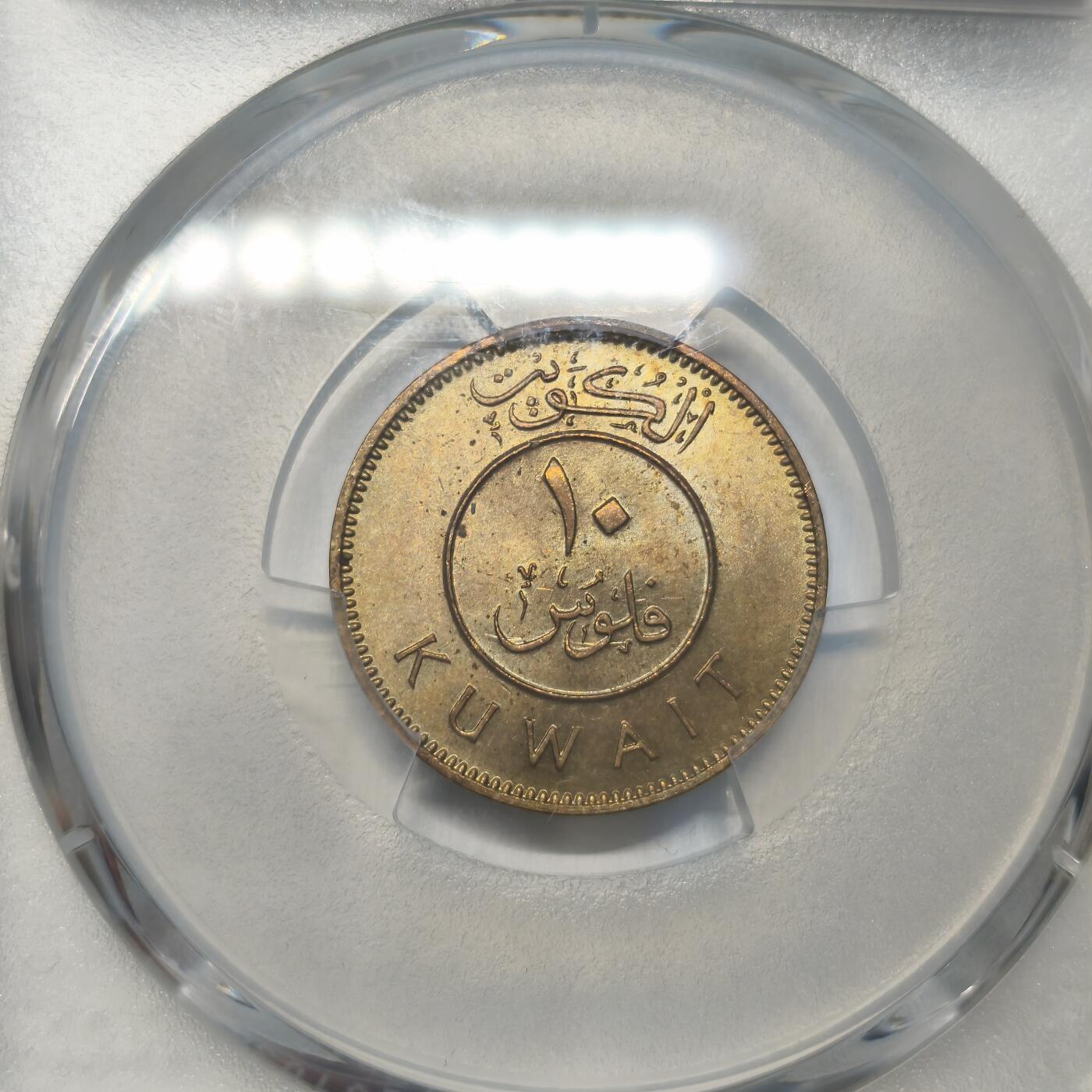 老蟹的宝藏🏴‍☠️ III