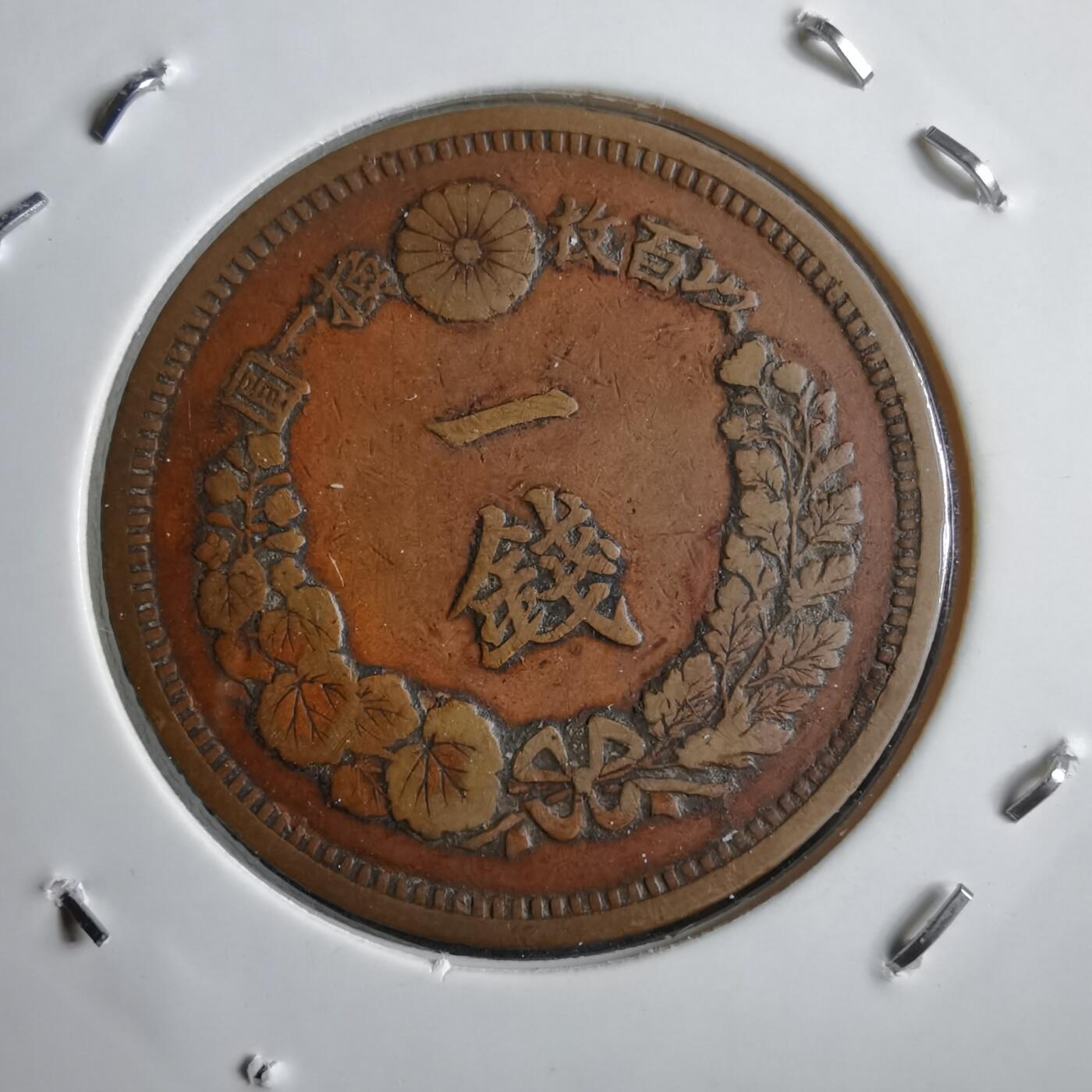 沼泽如烟--第891场