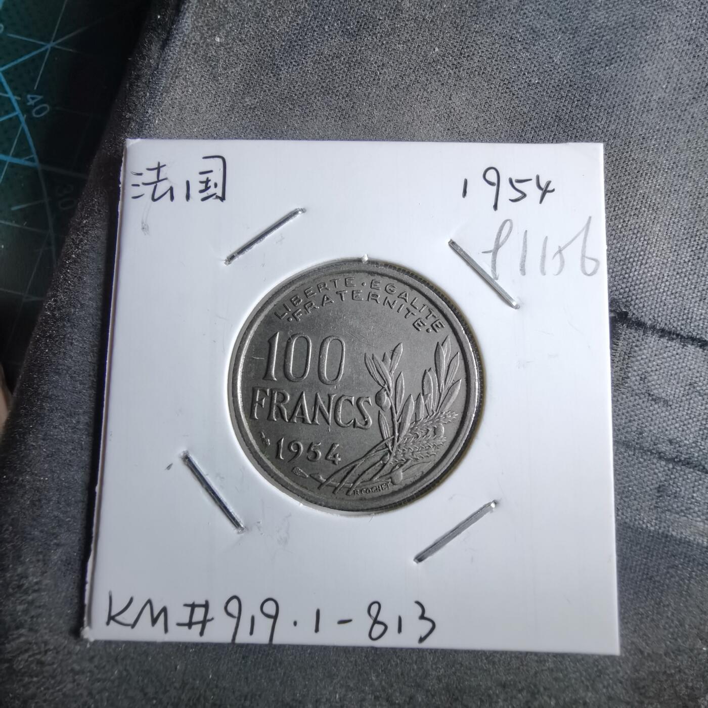 沼泽如烟--第891场