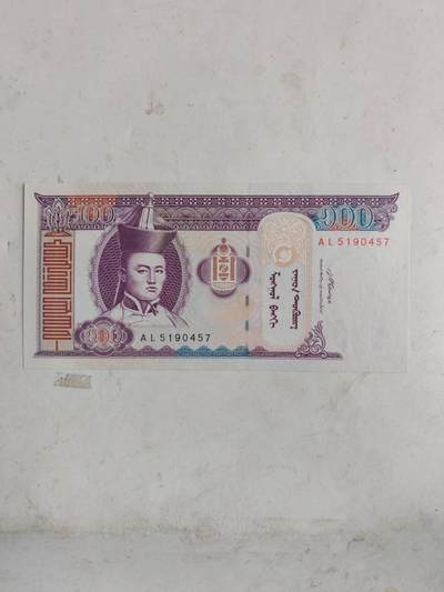 外币 - 全新蒙古币